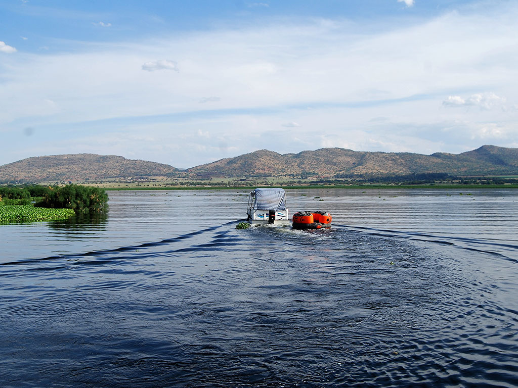 boat